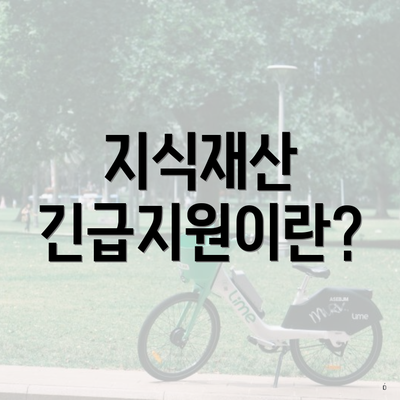 지식재산 긴급지원이란?