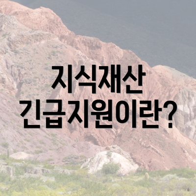 지식재산 긴급지원이란?
