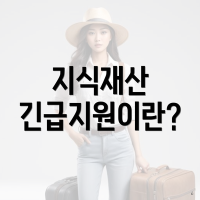지식재산 긴급지원이란?