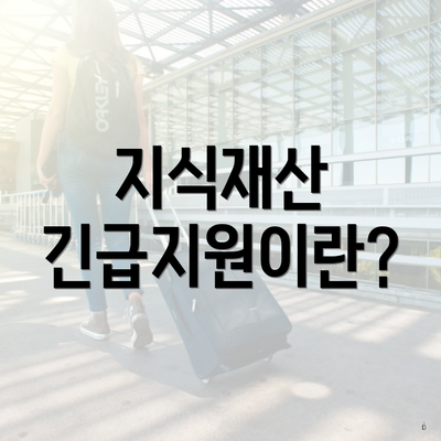 지식재산 긴급지원이란?
