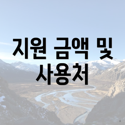 지원 금액 및 사용처