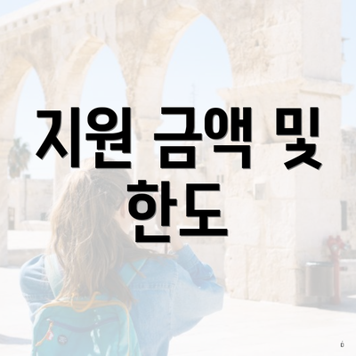 서구 화정1동 경기지식재산센터 국내맞춤 특허전략 지원 신청 지급 | 대상 | 온라인 2025 | 사용처 | 한도 2025 5 지원 금액 및 한도