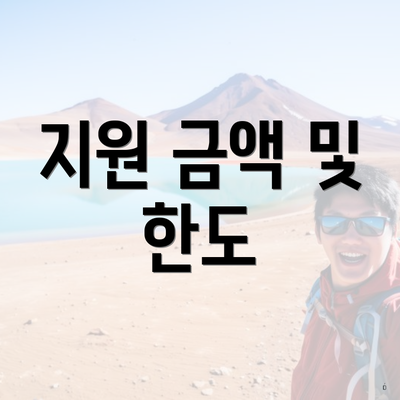 지원 금액 및 한도