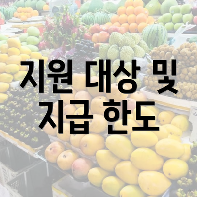 지원 대상 및 지급 한도