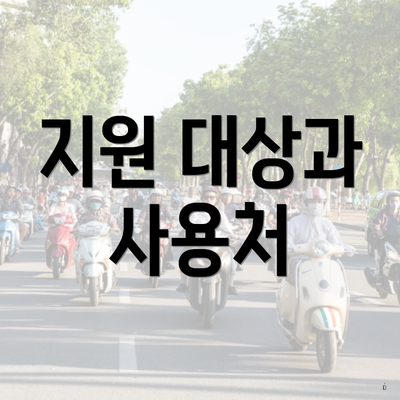 지원 대상과 사용처