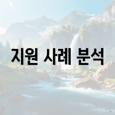 지원 사례 분석