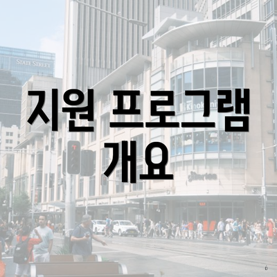 지원 프로그램 개요