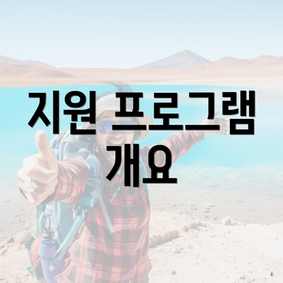 지원 프로그램 개요