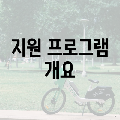 지원 프로그램 개요