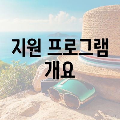 지원 프로그램 개요