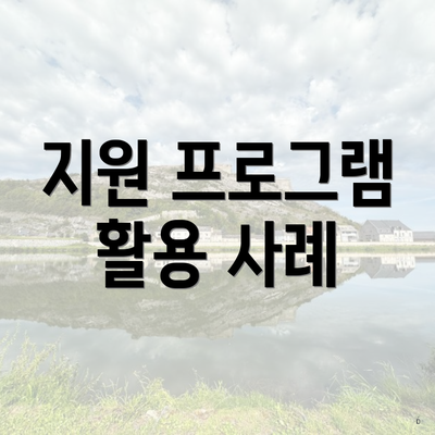 지원 프로그램 활용 사례