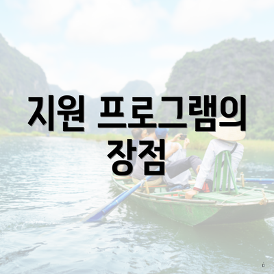 지원 프로그램의 장점