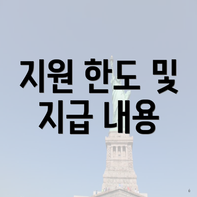 지원 한도 및 지급 내용
