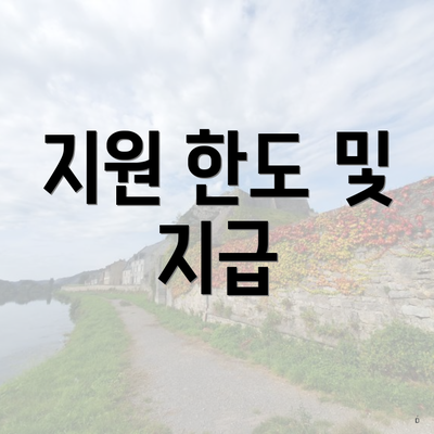 지원 한도 및 지급