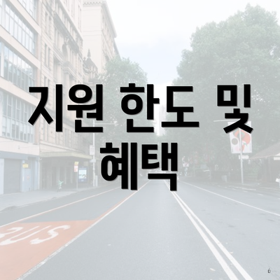 지원 한도 및 혜택