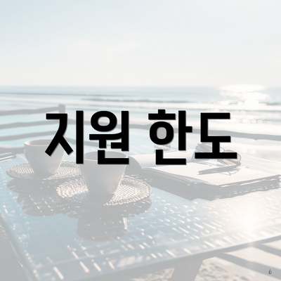 지원 한도