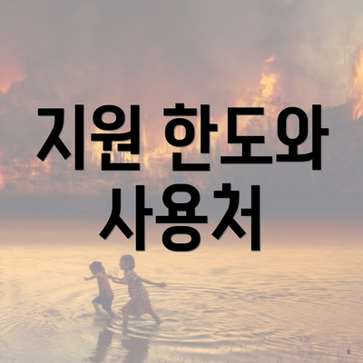 지원 한도와 사용처