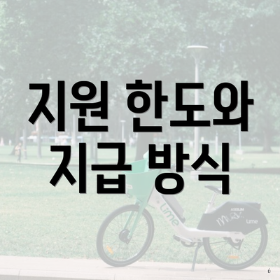 지원 한도와 지급 방식