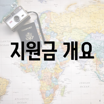 지원금 개요