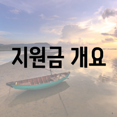 지원금 개요