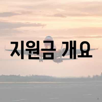 지원금 개요