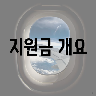 지원금 개요