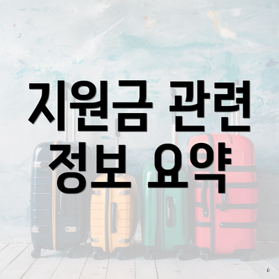 지원금 관련 정보 요약