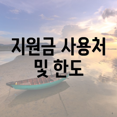 지원금 사용처 및 한도