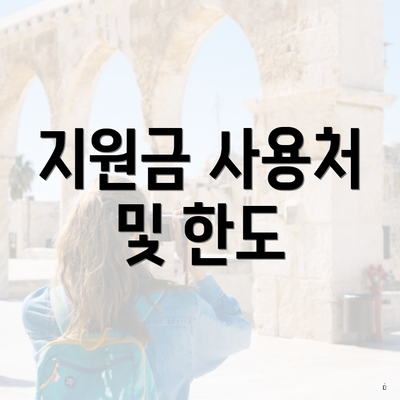 지원금 사용처 및 한도