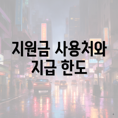 지원금 사용처와 지급 한도