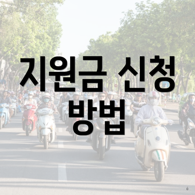 지원금 신청 방법