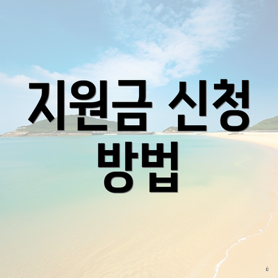 지원금 신청 방법