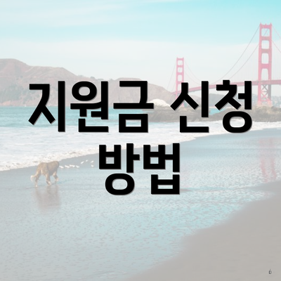 지원금 신청 방법