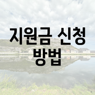 지원금 신청 방법