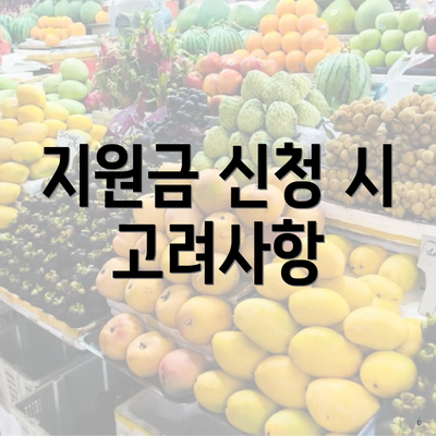 지원금 신청 시 고려사항