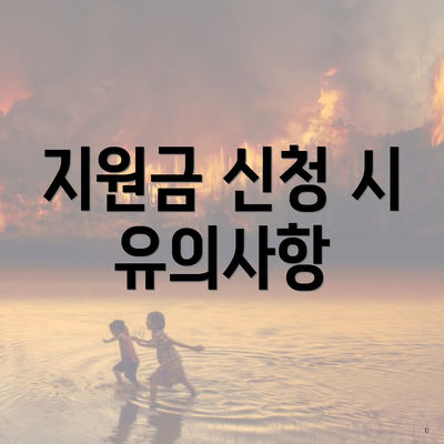 지원금 신청 시 유의사항