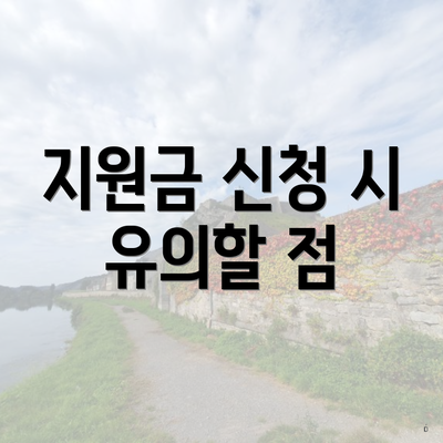 지원금 신청 시 유의할 점