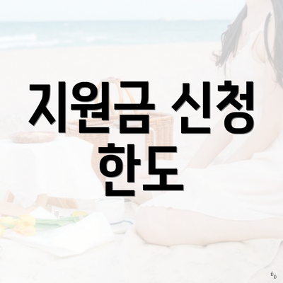 지원금 신청 한도