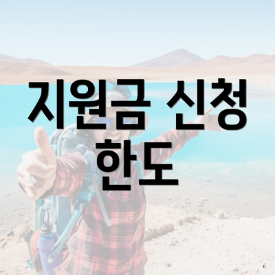 지원금 신청 한도