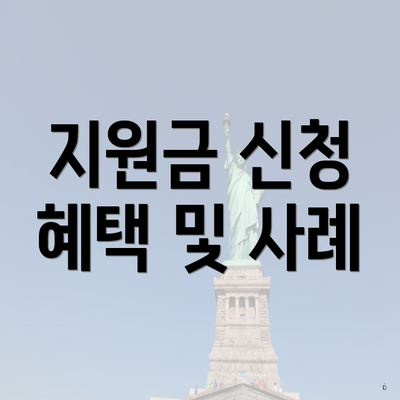 지원금 신청 혜택 및 사례