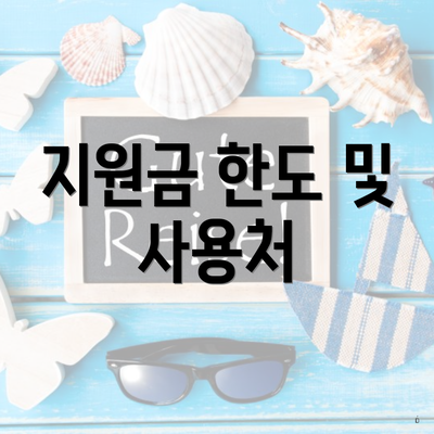 지원금 한도 및 사용처