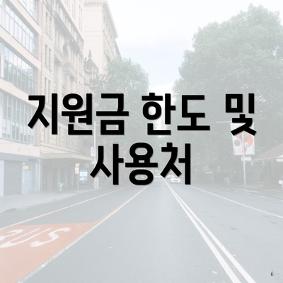 지원금 한도 및 사용처