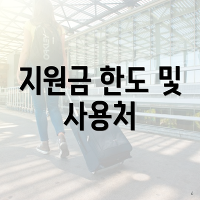 지원금 한도 및 사용처