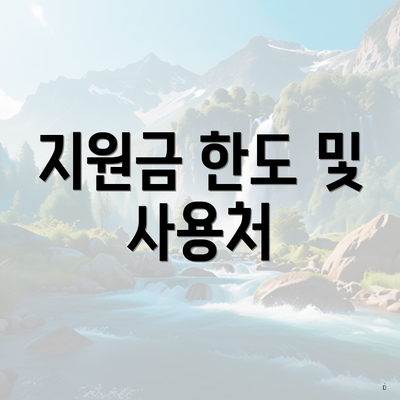 지원금 한도 및 사용처