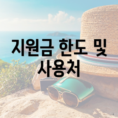 지원금 한도 및 사용처