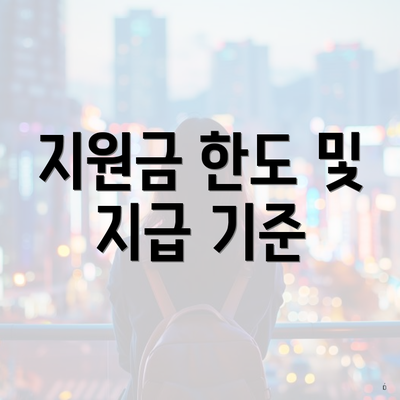 지원금 한도 및 지급 기준