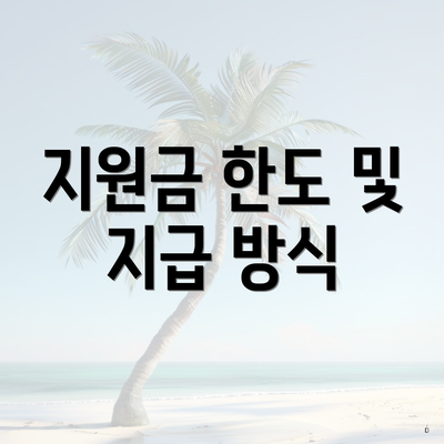 지원금 한도 및 지급 방식