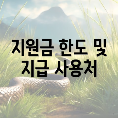 지원금 한도 및 지급 사용처