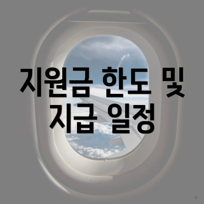 지원금 한도 및 지급 일정