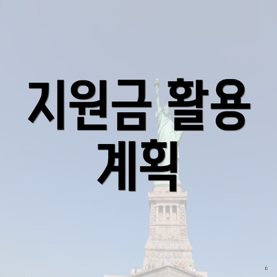 지원금 활용 계획